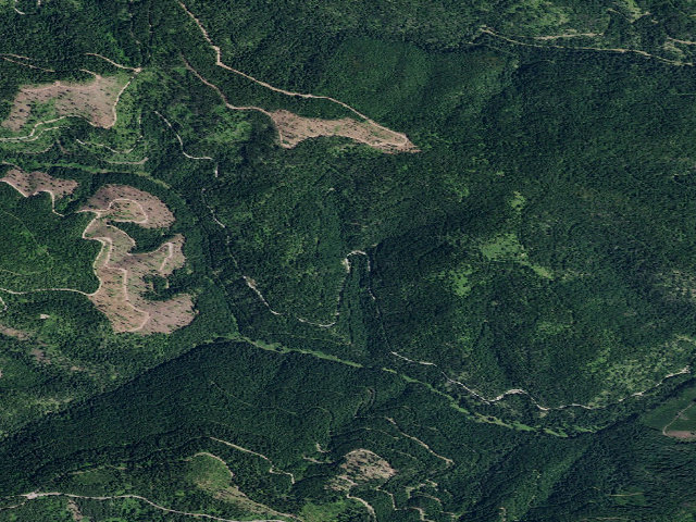 Aerial image of USFS dispersed camp — ID #624