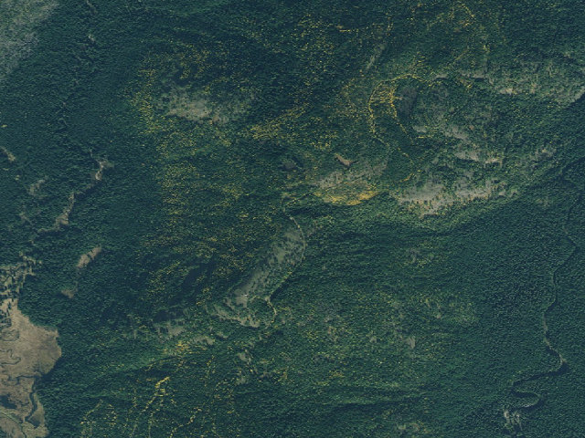 Aerial image of USFS dispersed camp — ID #643