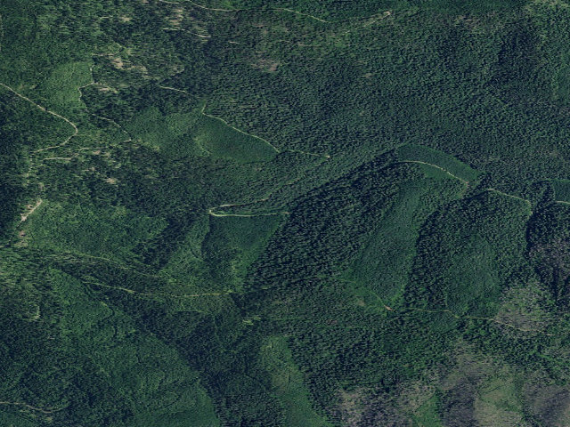 Aerial image of USFS dispersed camp — ID #650