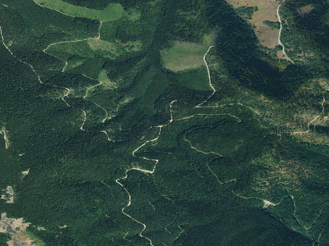 Aerial image of USFS dispersed camp — ID #656
