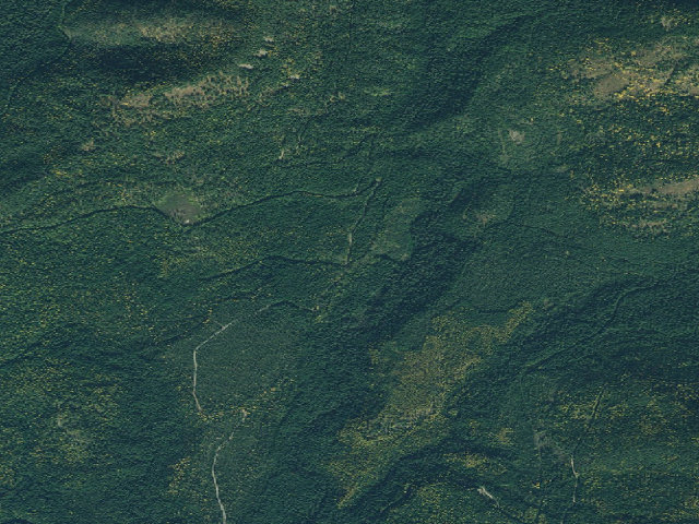 Aerial image of USFS dispersed camp — ID #658