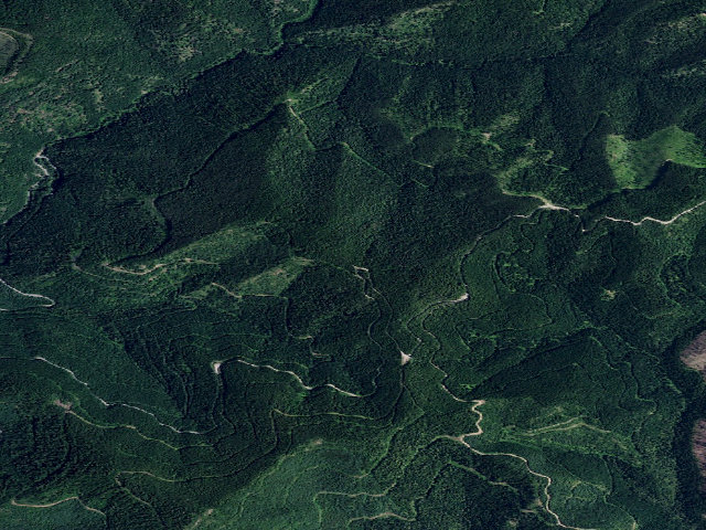 Aerial image of USFS dispersed camp — ID #661