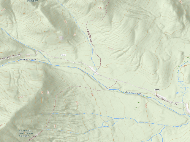 USGS topographic map of USFS dispersed camp — ID #666