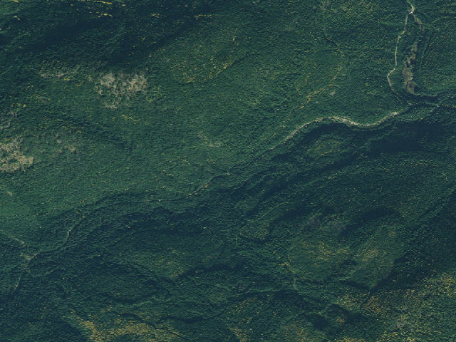 Aerial image of USFS dispersed camp — ID #667