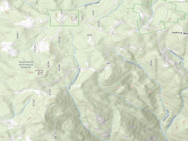 USGS topographic map of USFS dispersed camp — ID #684