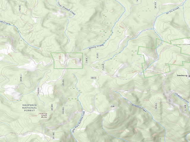 USGS topographic map of USFS dispersed camp — ID #685