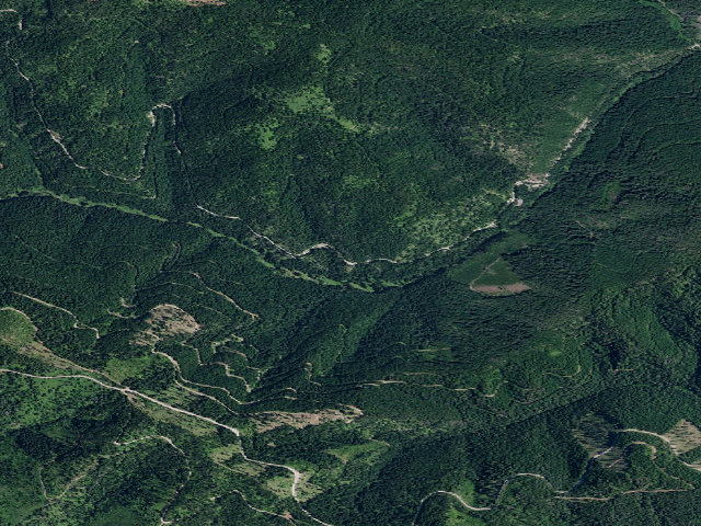 Aerial image of USFS dispersed camp — ID #698