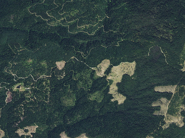 Aerial image of USFS dispersed camp — ID #699