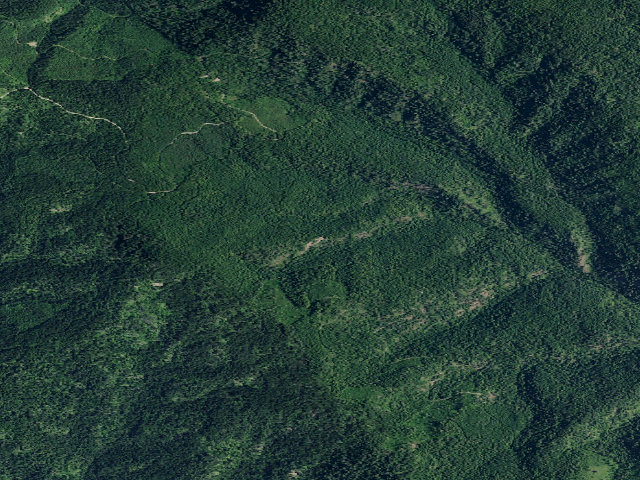 Aerial image of USFS dispersed camp — ID #718