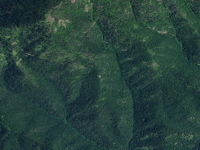 Aerial image of USFS dispersed camp — ID #725