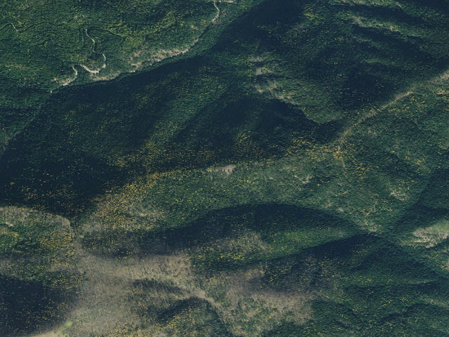 Aerial image of USFS dispersed camp — ID #728