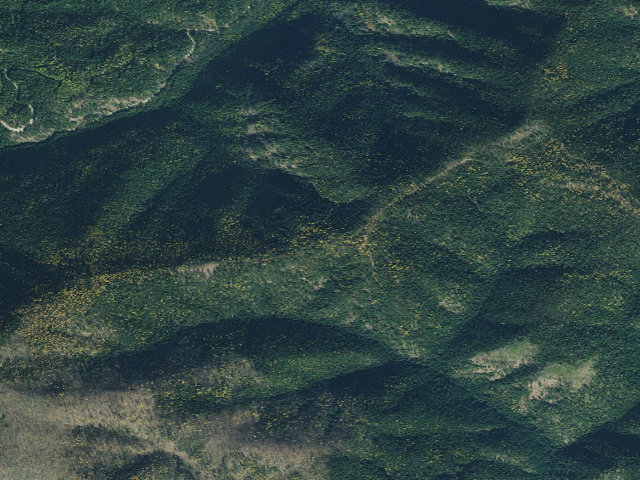 Aerial image of USFS dispersed camp — ID #733