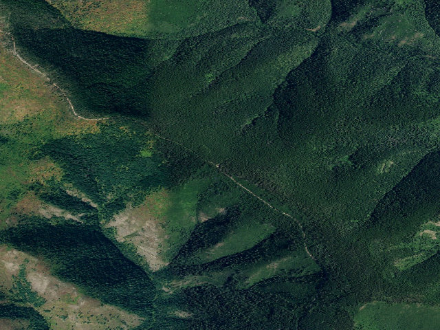 Aerial image of USFS dispersed camp — ID #74