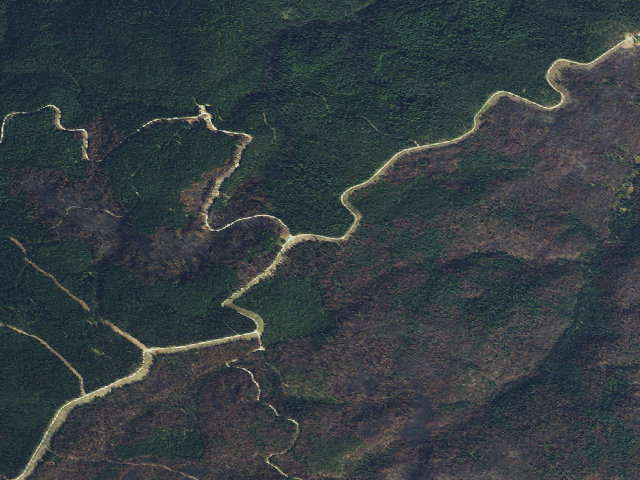 Aerial image of USFS dispersed camp — ID #743