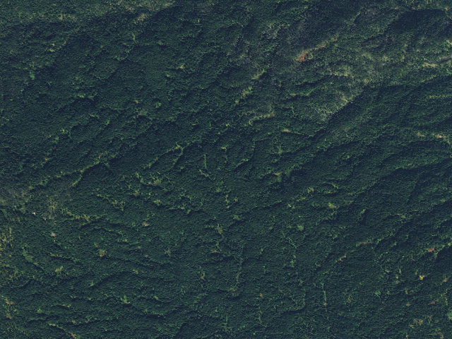 Aerial image of USFS dispersed camp — ID #746