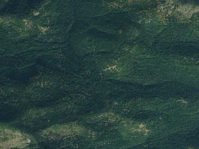 Aerial image of USFS dispersed camp — ID #748
