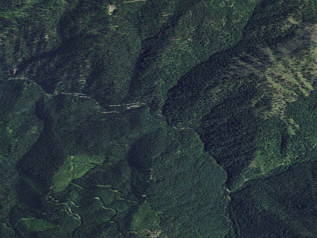 Aerial image of USFS dispersed camp — ID #770