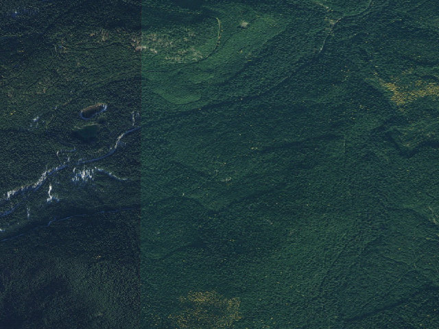 Aerial image of USFS dispersed camp — ID #774