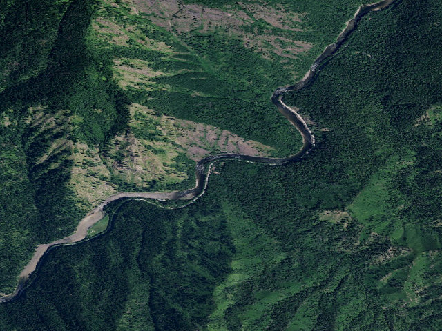 Aerial image of USFS dispersed camp — ID #775