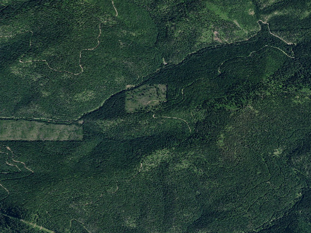 Aerial image of USFS dispersed camp — ID #787