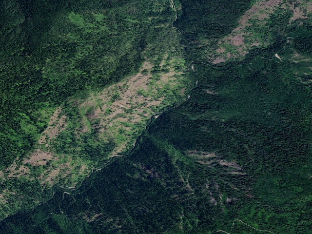Aerial image of USFS dispersed camp — ID #798