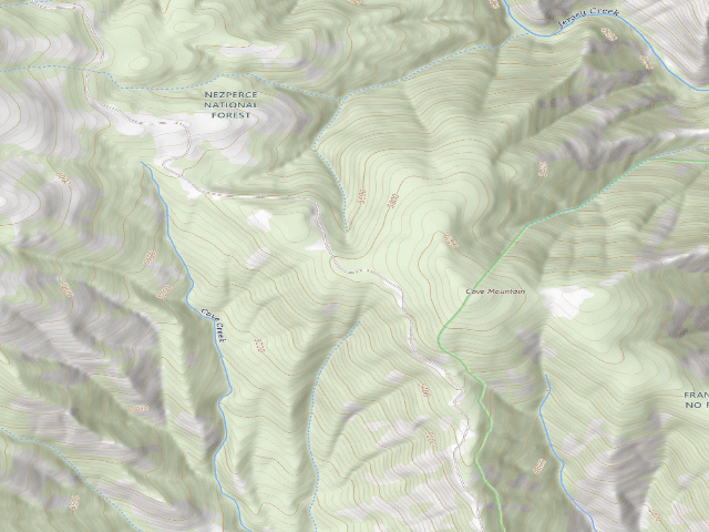 USGS topographic map of USFS dispersed camp — ID #8