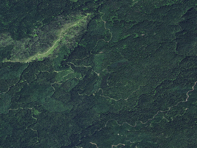 Aerial image of USFS dispersed camp — ID #802