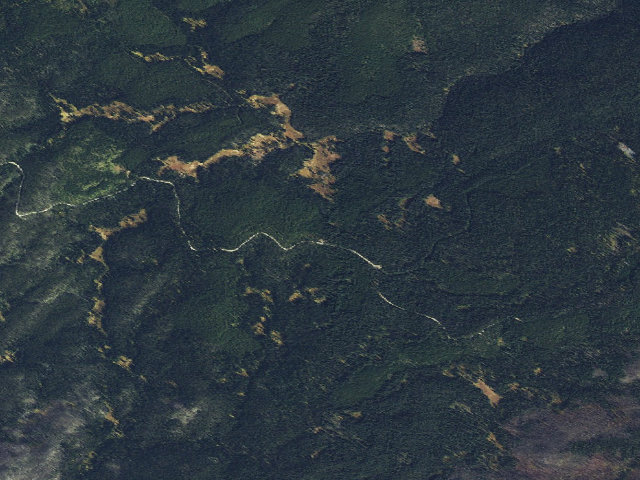 Aerial image of USFS dispersed camp — ID #803