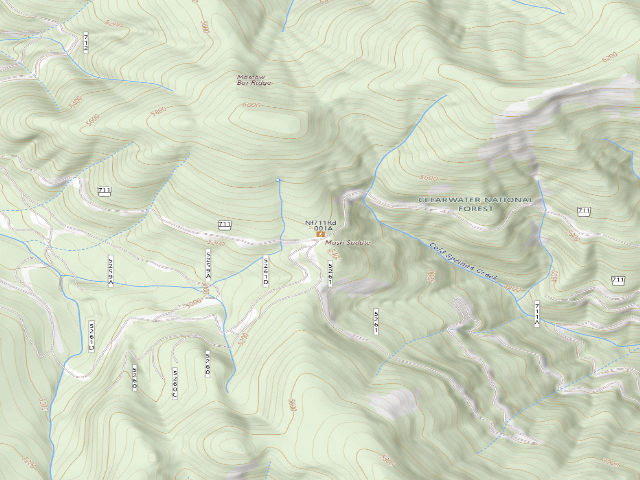 USGS topographic map of USFS dispersed camp — ID #805