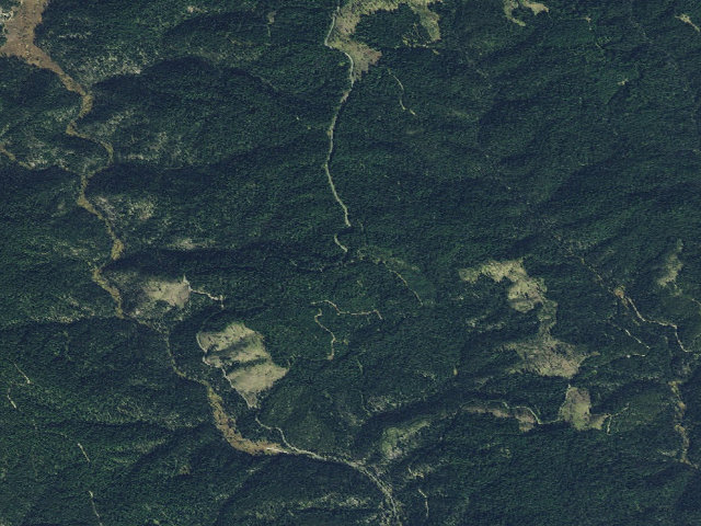 Aerial image of USFS dispersed camp — ID #81