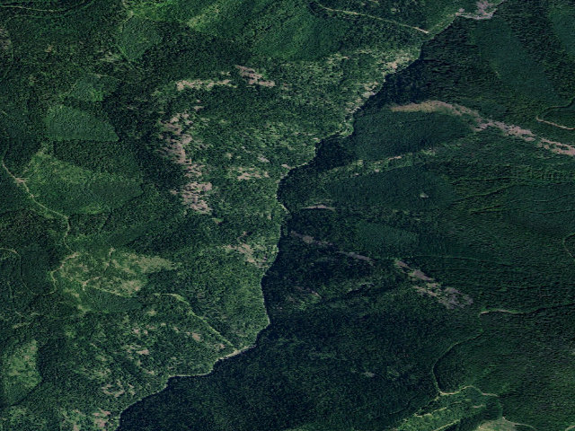 Aerial image of USFS dispersed camp — ID #814