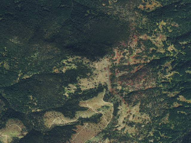 Aerial image of USFS dispersed camp — ID #82