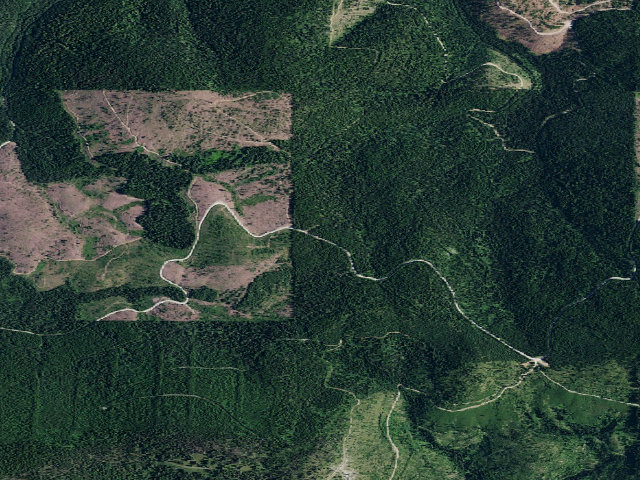 Aerial image of USFS dispersed camp — ID #825