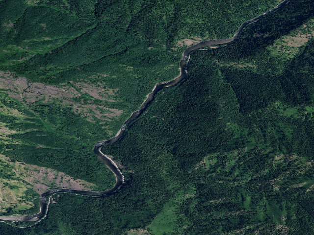 Aerial image of USFS dispersed camp — ID #88