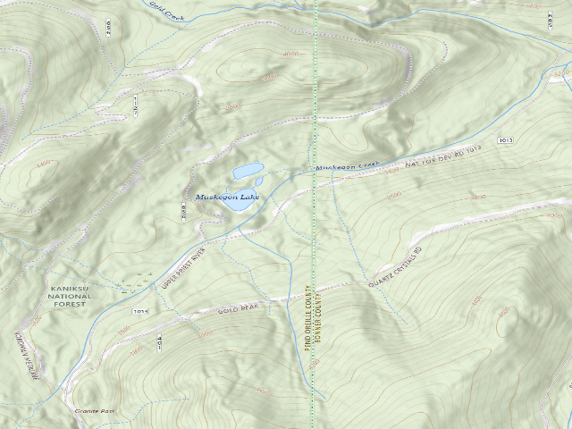 USGS topographic map of USFS dispersed camp — ID #89