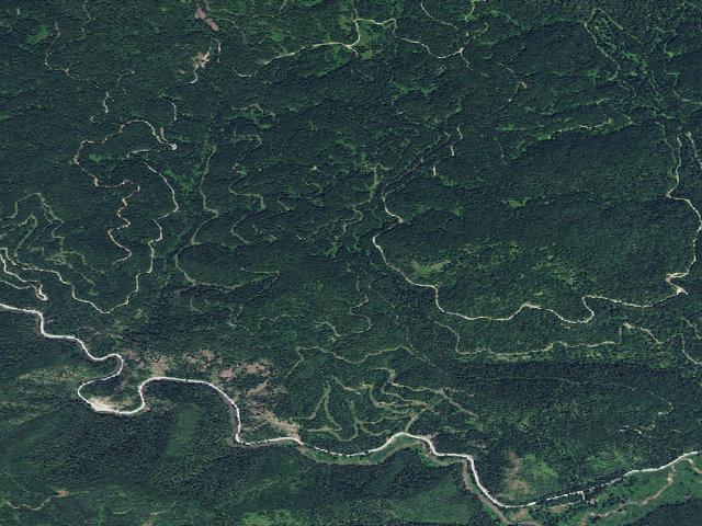 Aerial image of USFS dispersed camp — ID #91