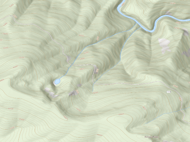 USGS topographic map of USFS dispersed camp — ID #93
