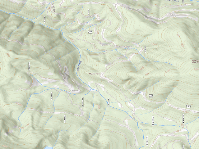 USGS topographic map of USFS dispersed camp — ID #95