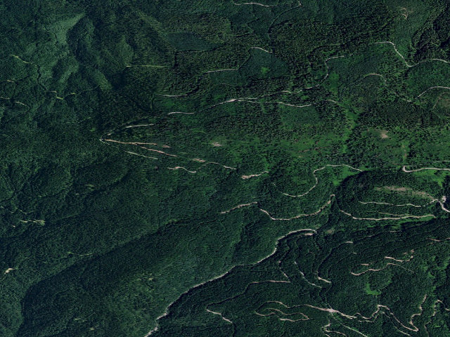 Aerial image of USFS dispersed camp — ID #96