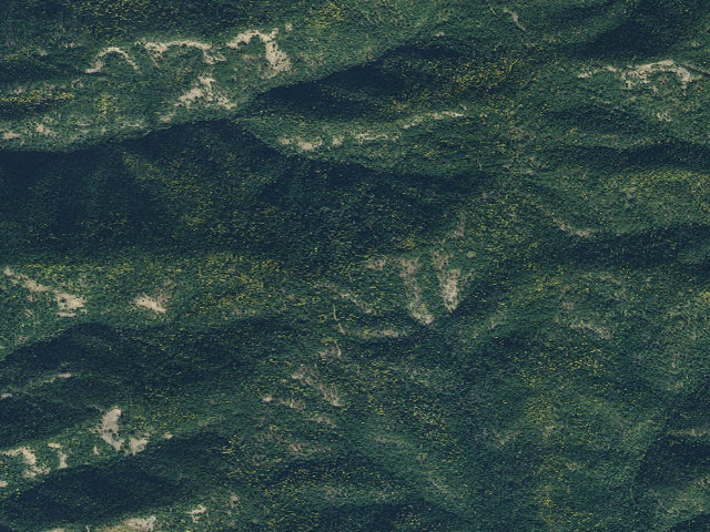 Aerial image of USFS dispersed camp — ID #99