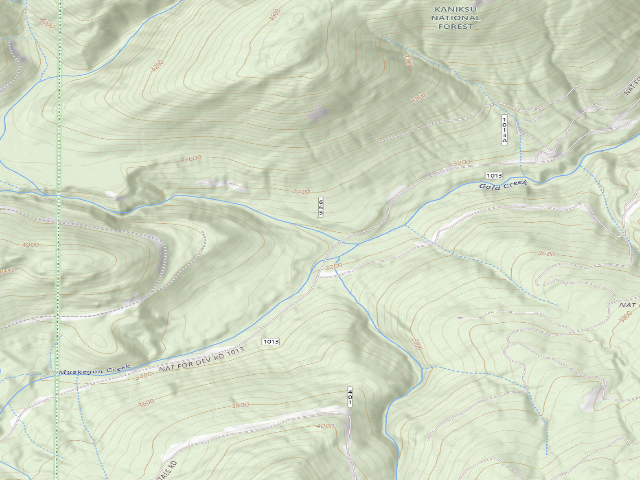 USGS topographic map of USFS dispersed camp — ID