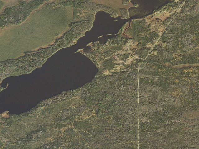 Aerial image of USFS dispersed camp — Lake County, MN