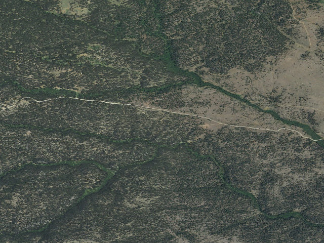 Aerial image of USFS dispersed camp — MT #114