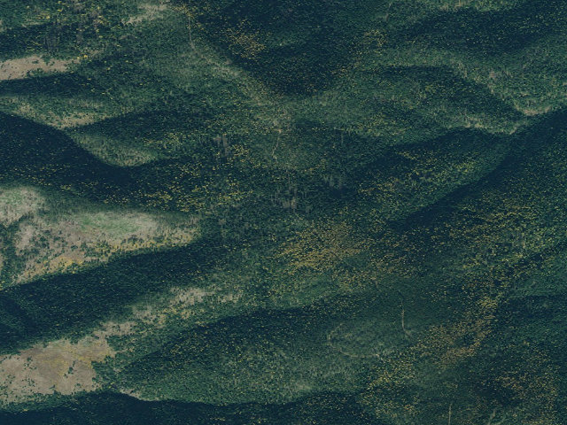 Aerial image of USFS dispersed camp — MT #126