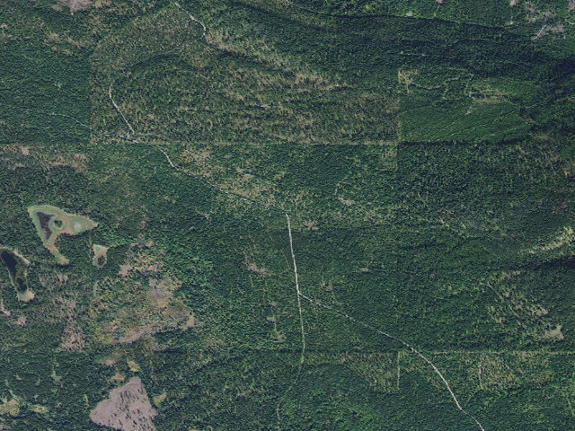 Aerial image of USFS dispersed camp — MT #141
