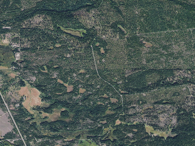 Aerial image of USFS dispersed camp — MT #168