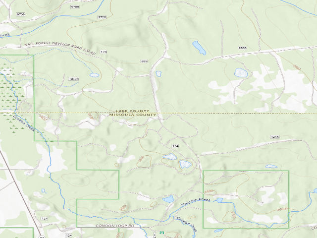 USGS topographic map of USFS dispersed camp — MT #168