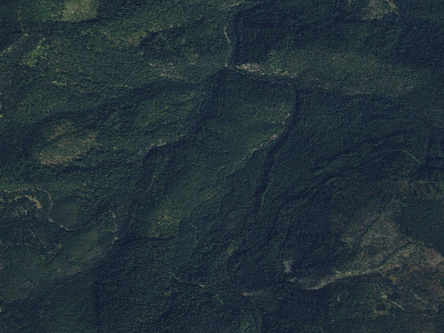 Aerial image of USFS dispersed camp — MT #193