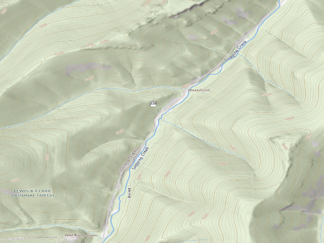 USGS topographic map of USFS dispersed camp — MT #198