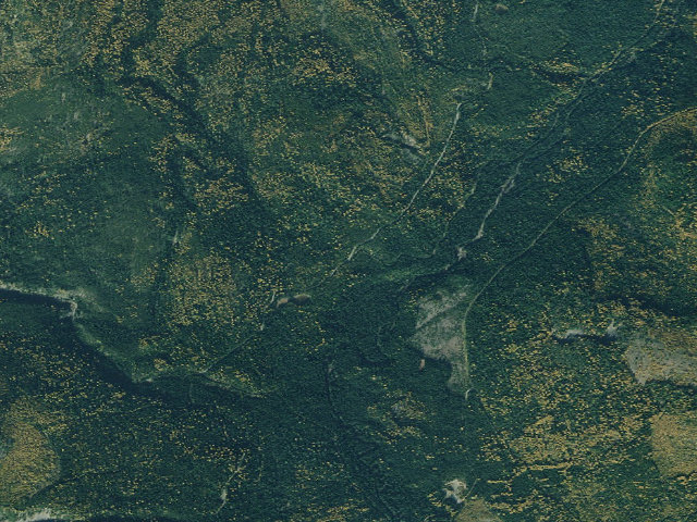 Aerial image of USFS dispersed camp — MT #231